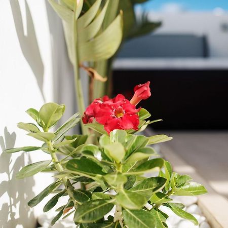 Villa Palmera Jacuzzi Yaiza  Kültér fotó