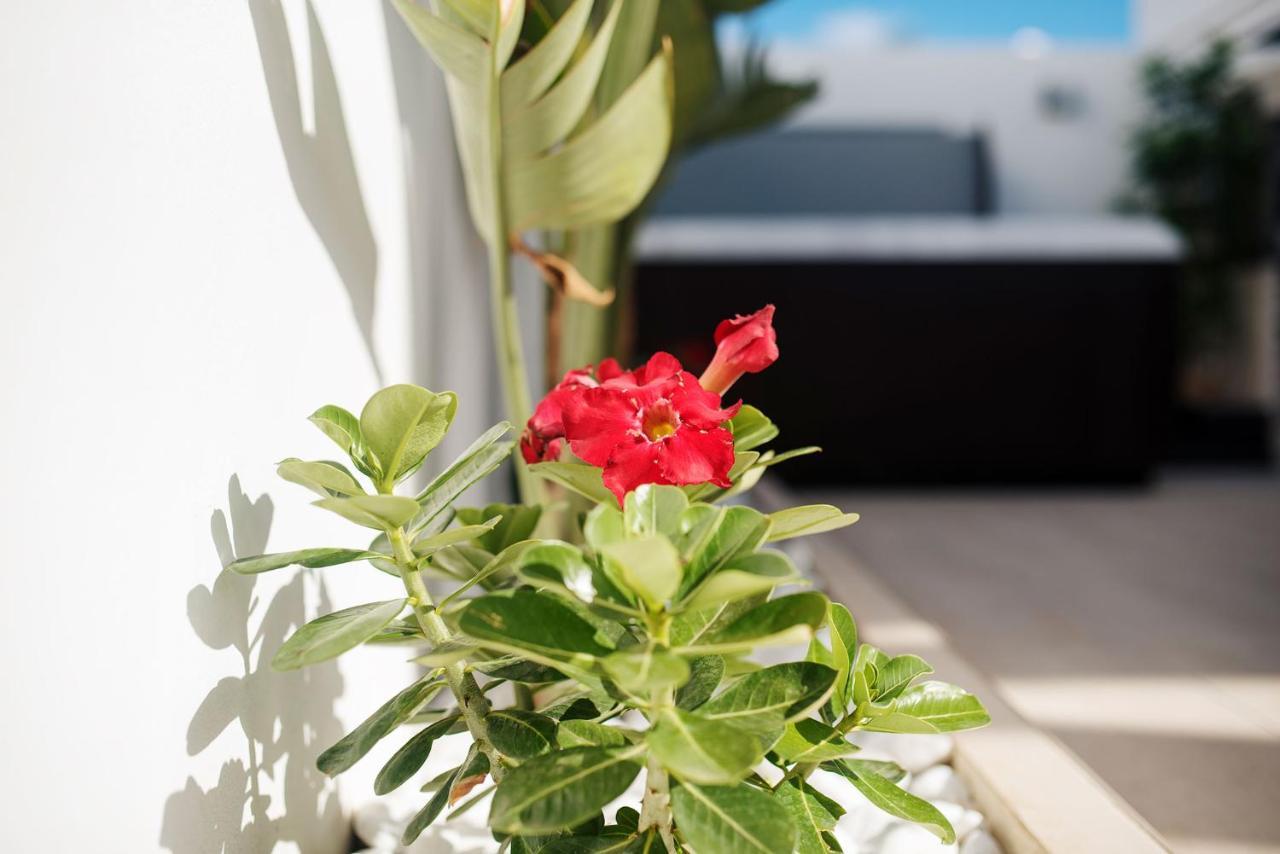 Villa Palmera Jacuzzi Yaiza  Kültér fotó